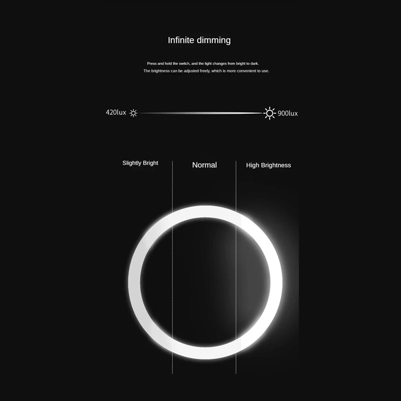 Magnifying Mirror With Light